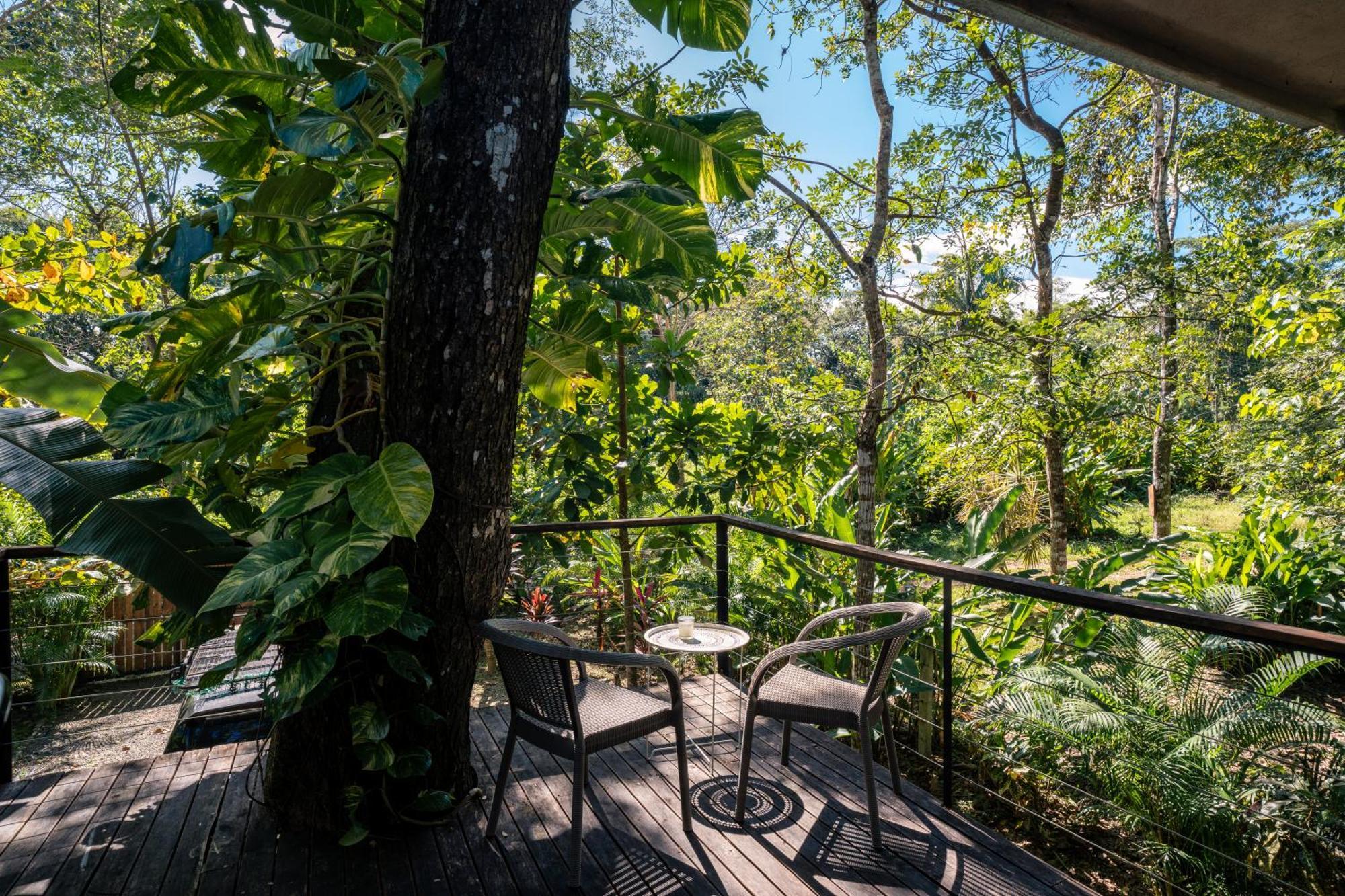 Feeling Trees Jungle Lodge Cabuya  Exterior photo