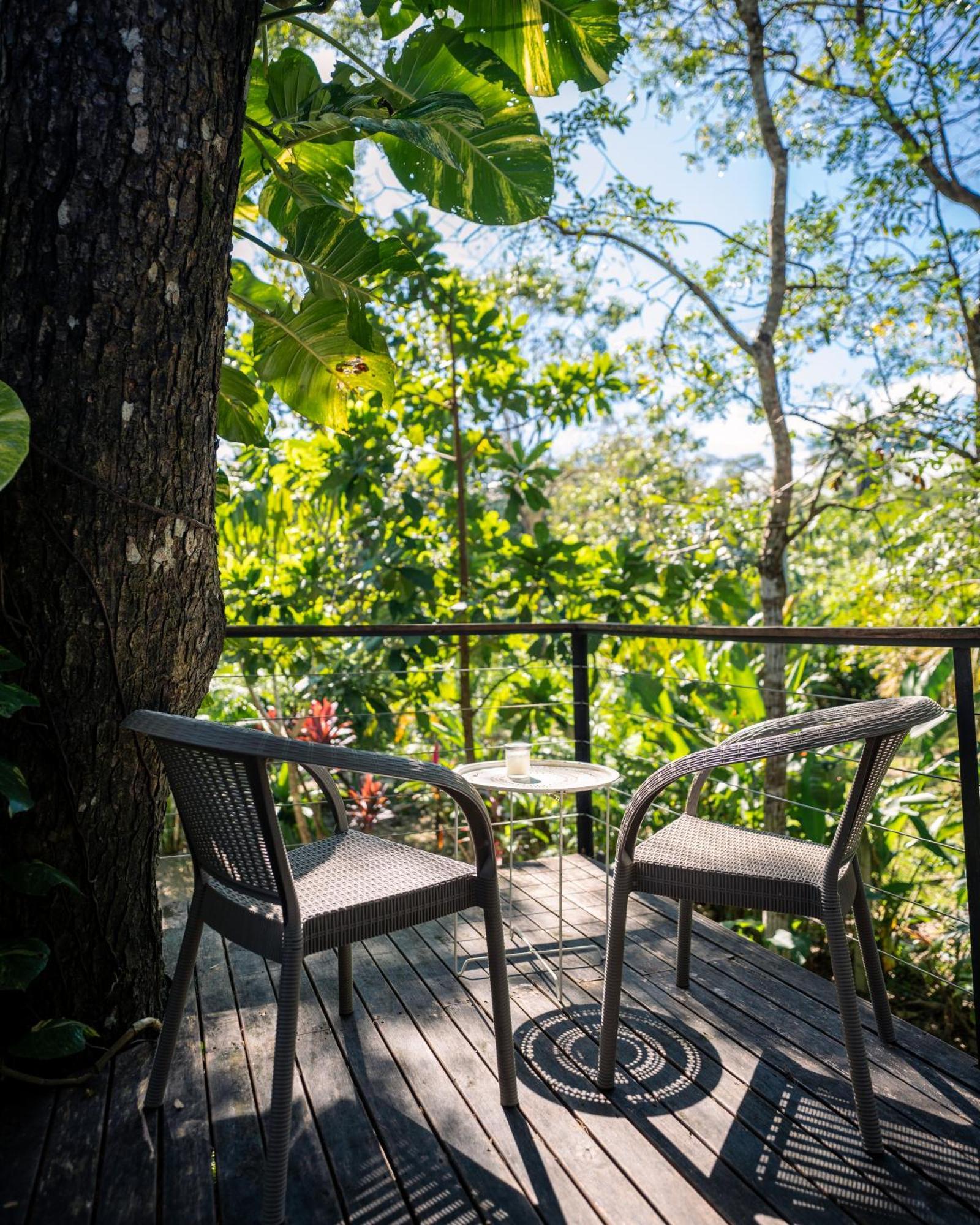 Feeling Trees Jungle Lodge Cabuya  Exterior photo