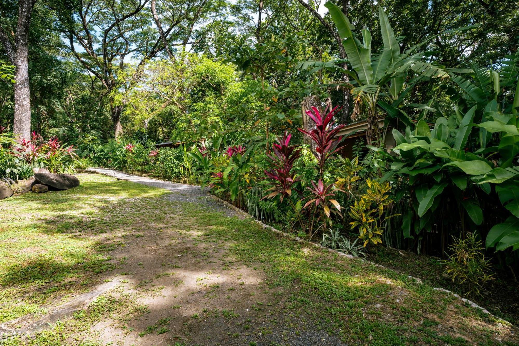 Feeling Trees Jungle Lodge Cabuya  Exterior photo