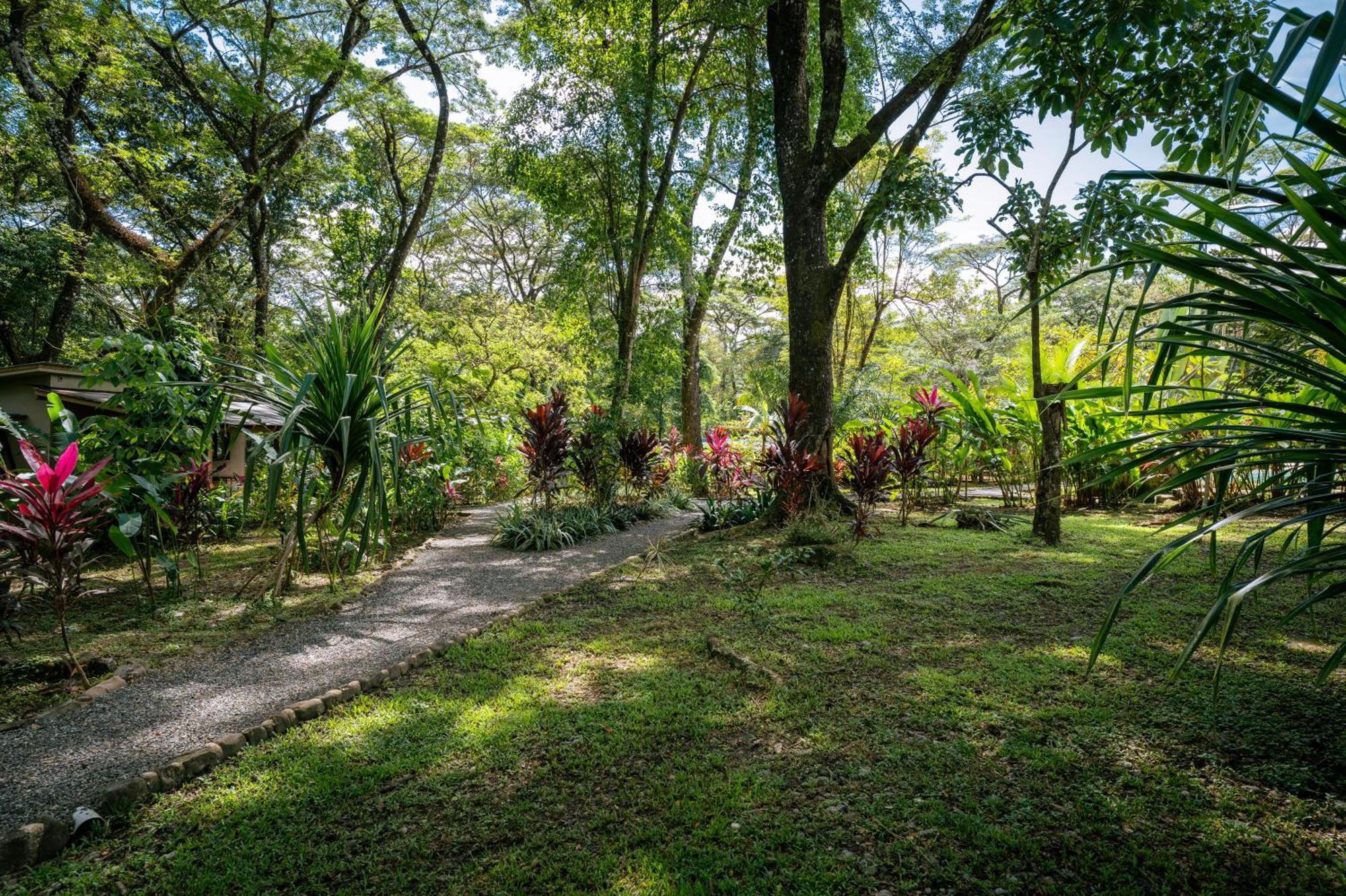 Feeling Trees Jungle Lodge Cabuya  Exterior photo