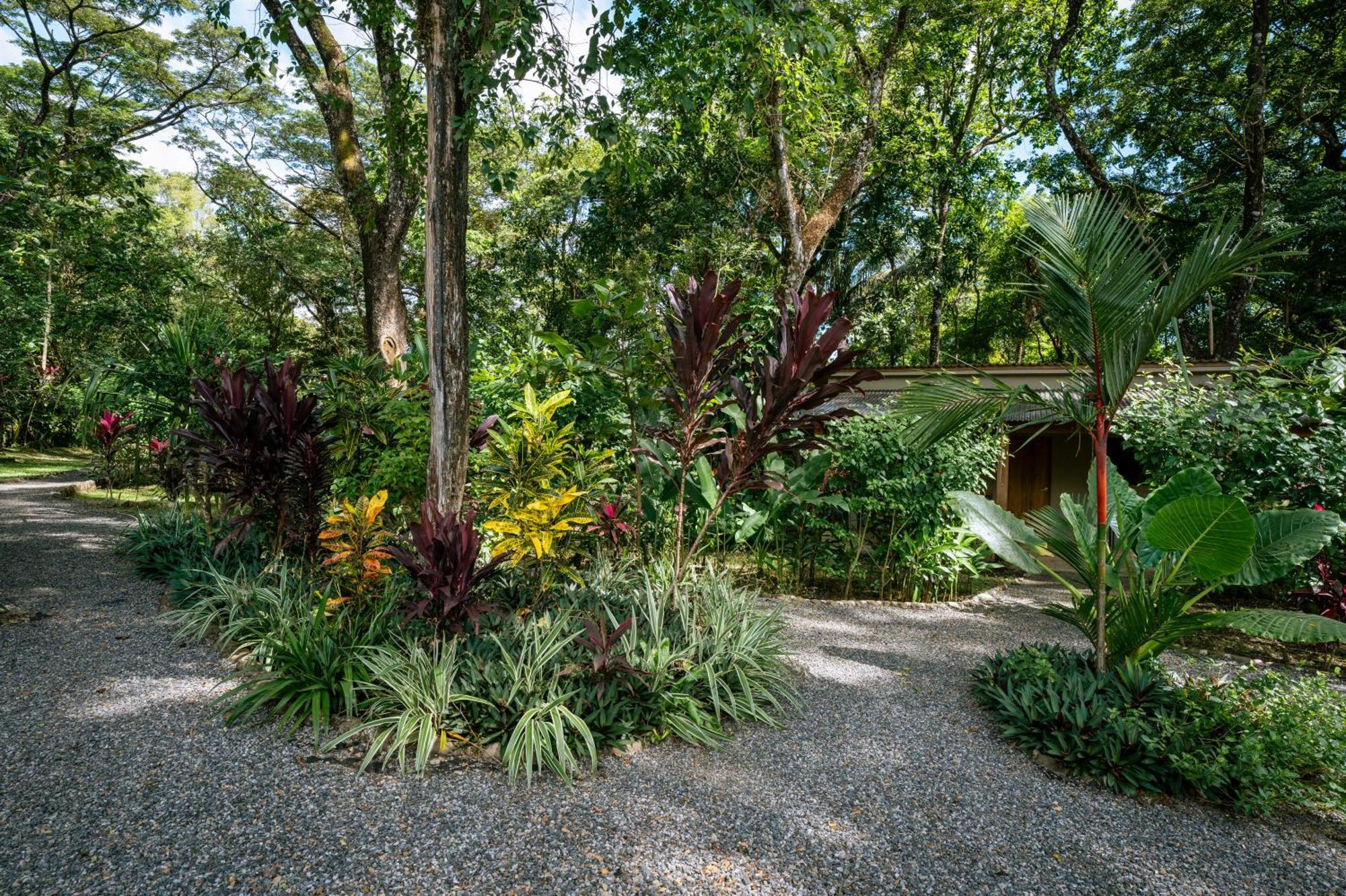 Feeling Trees Jungle Lodge Cabuya  Exterior photo