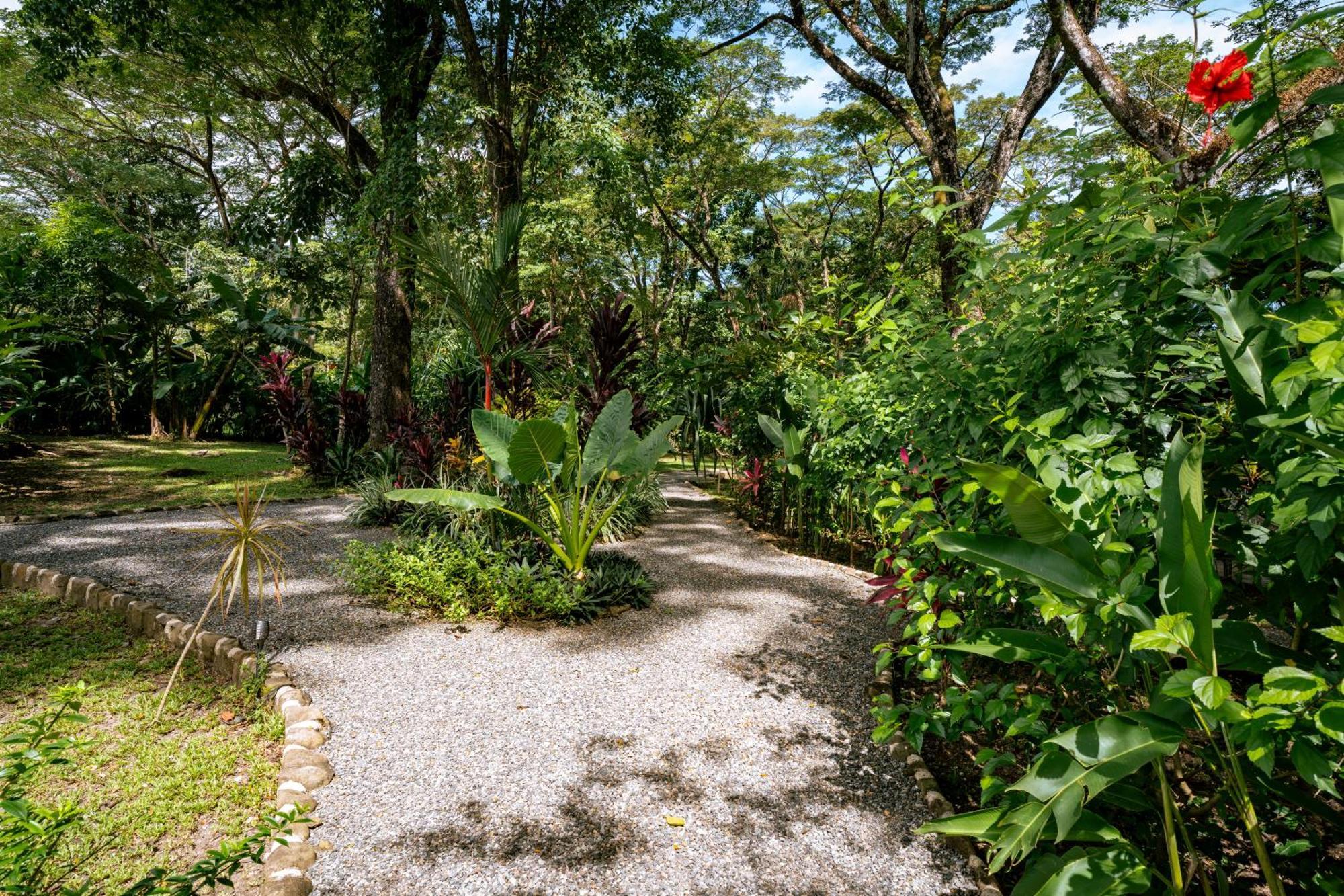 Feeling Trees Jungle Lodge Cabuya  Exterior photo