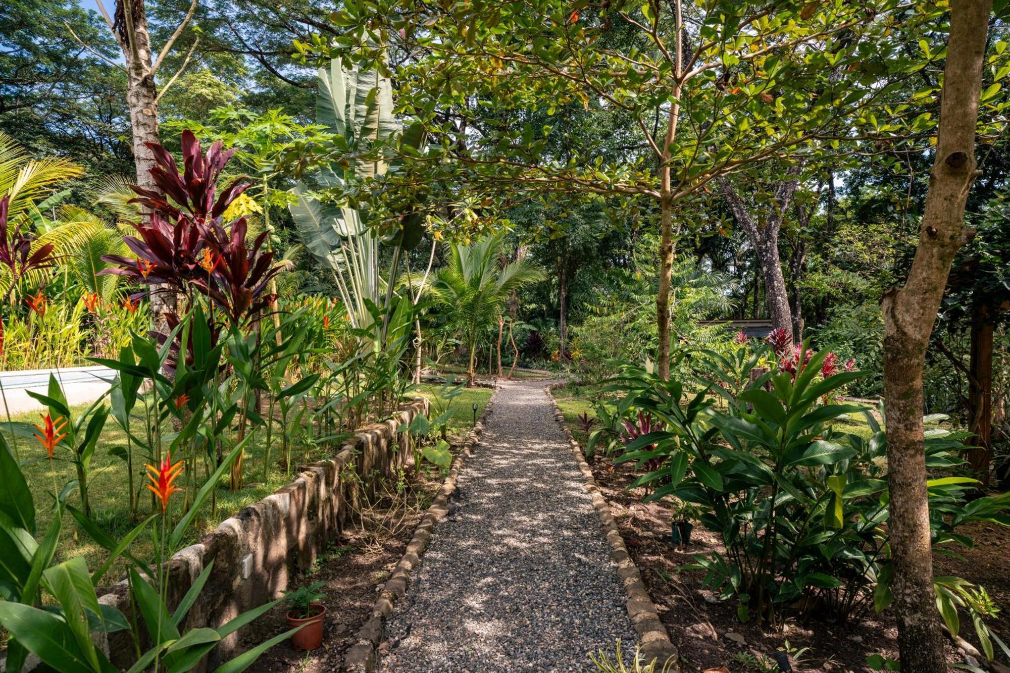 Feeling Trees Jungle Lodge Cabuya  Exterior photo