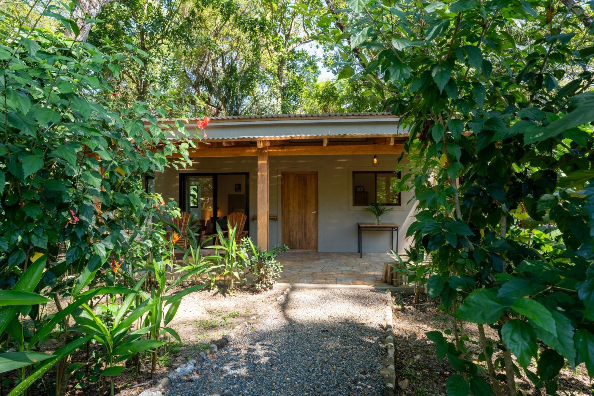 Feeling Trees Jungle Lodge Cabuya  Exterior photo