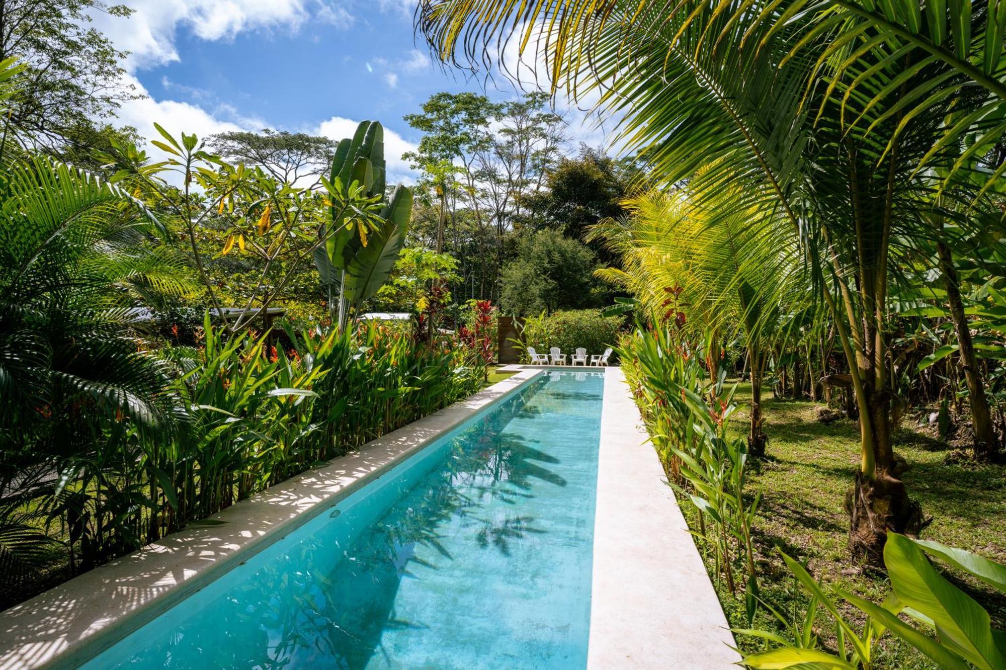 Feeling Trees Jungle Lodge Cabuya  Exterior photo
