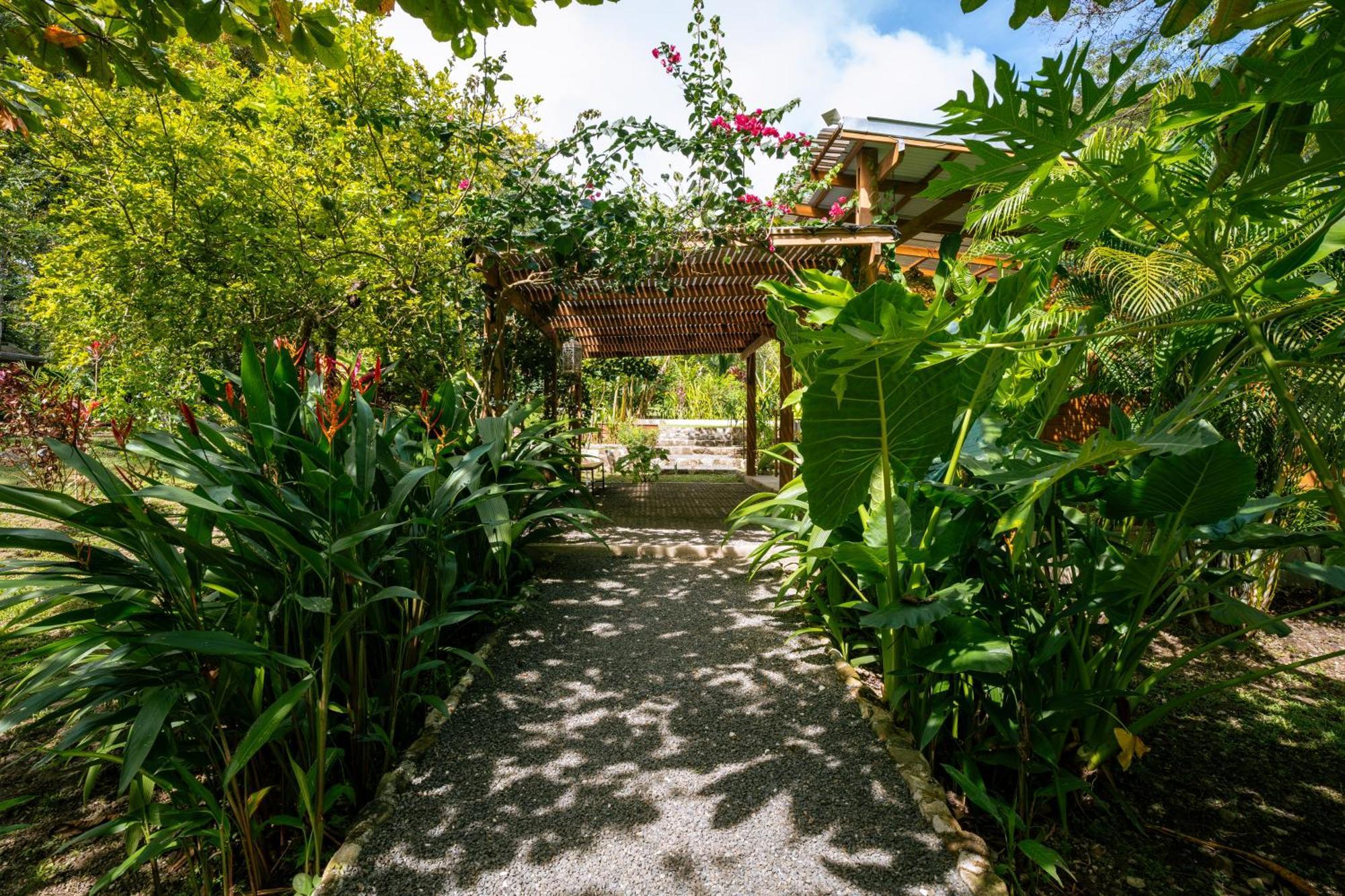 Feeling Trees Jungle Lodge Cabuya  Exterior photo