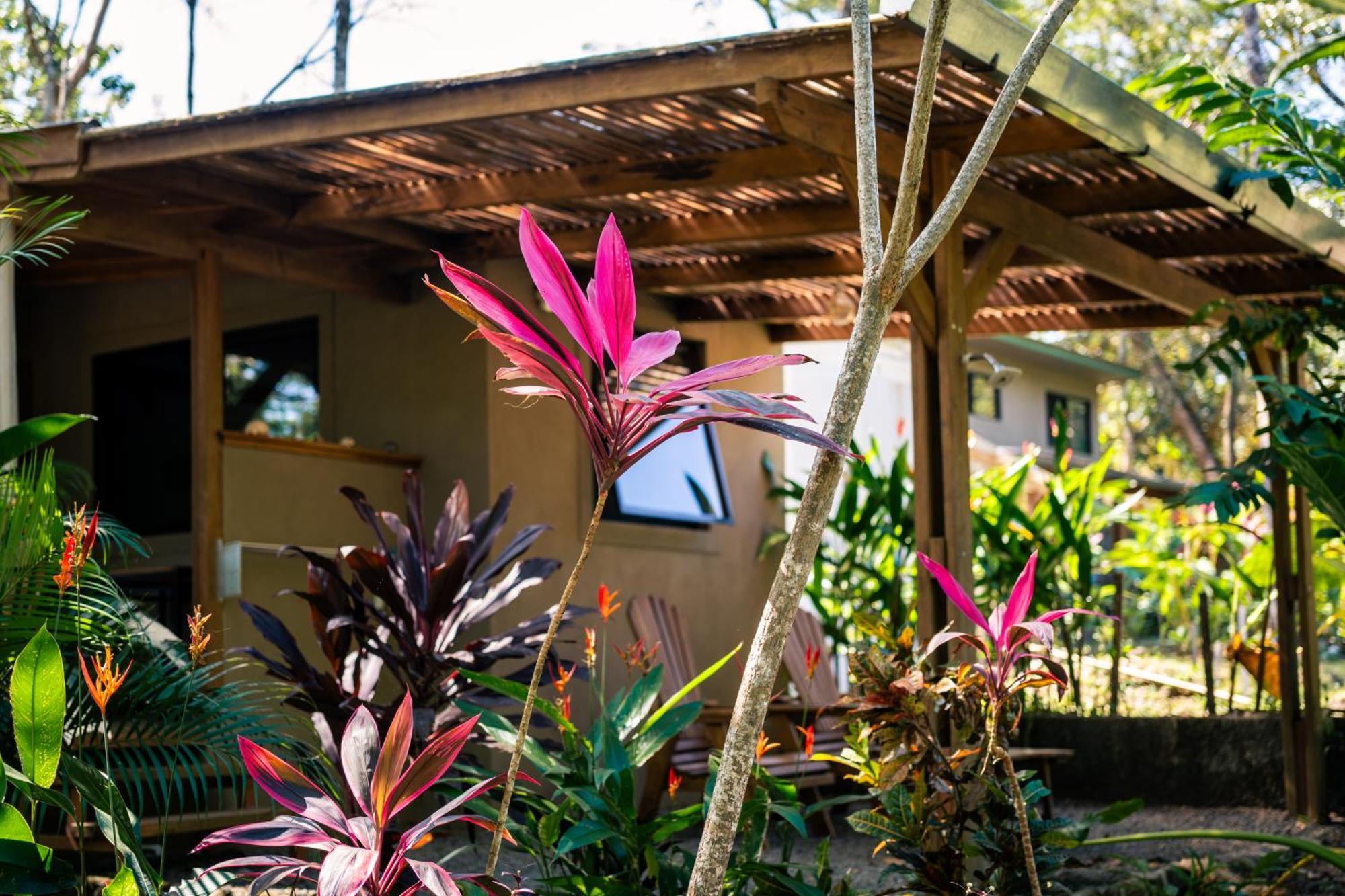 Feeling Trees Jungle Lodge Cabuya  Exterior photo