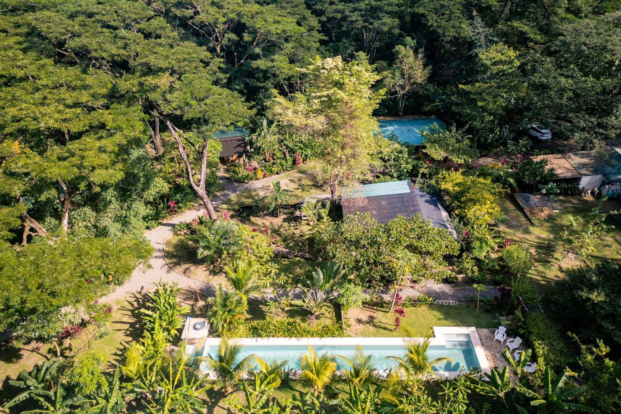 Feeling Trees Jungle Lodge Cabuya  Exterior photo