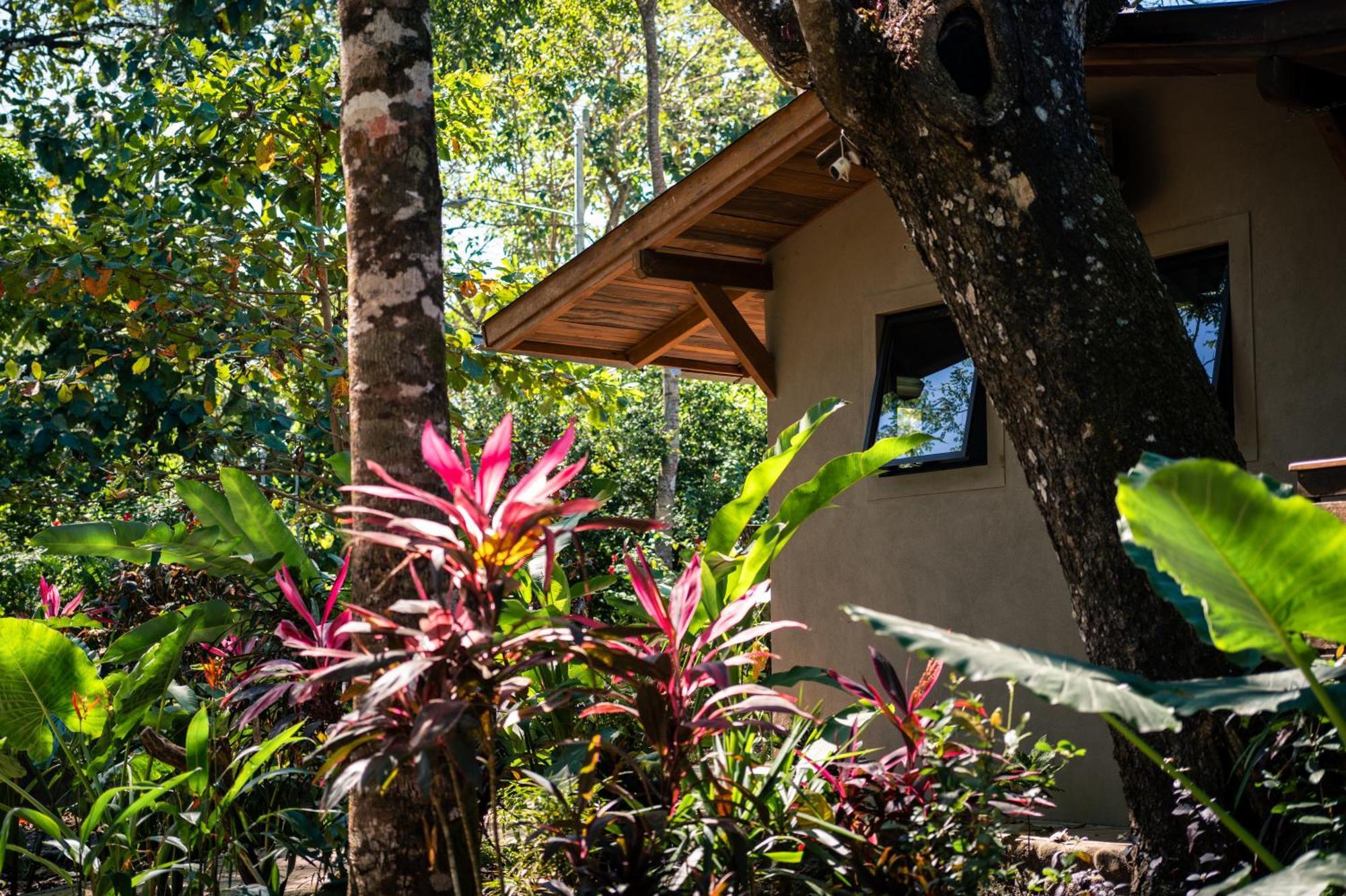 Feeling Trees Jungle Lodge Cabuya  Exterior photo