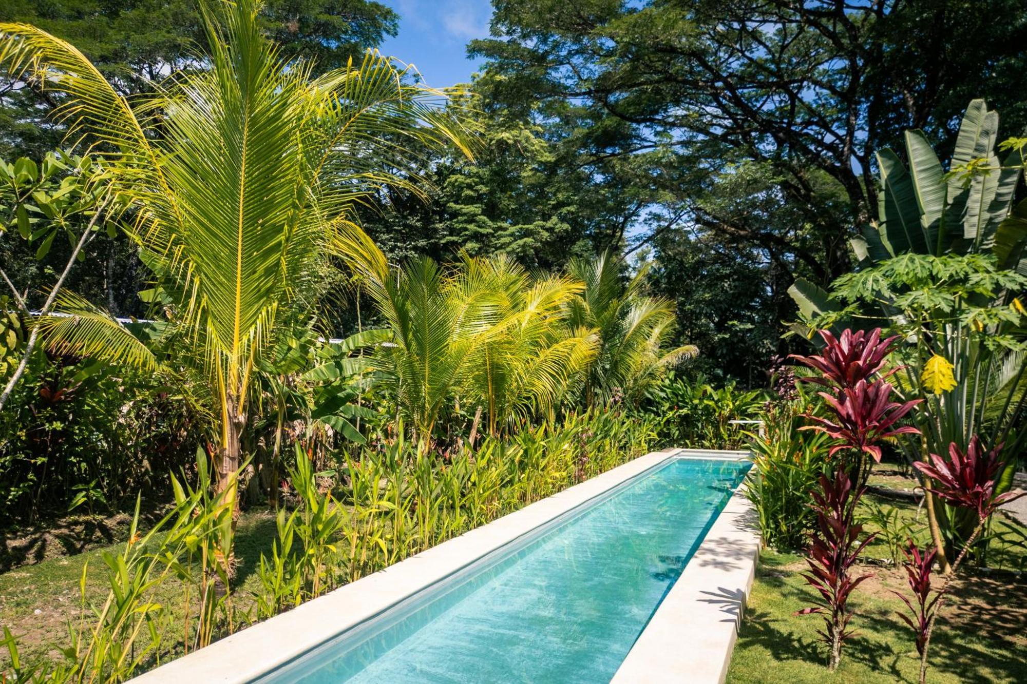 Feeling Trees Jungle Lodge Cabuya  Exterior photo